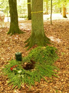 Rostocker Heide