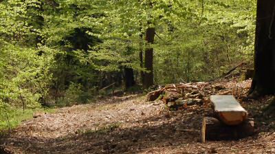 Wildenburger Land