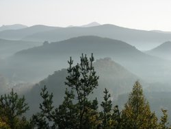 Wilgartswiesen