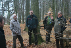 Landestreffen