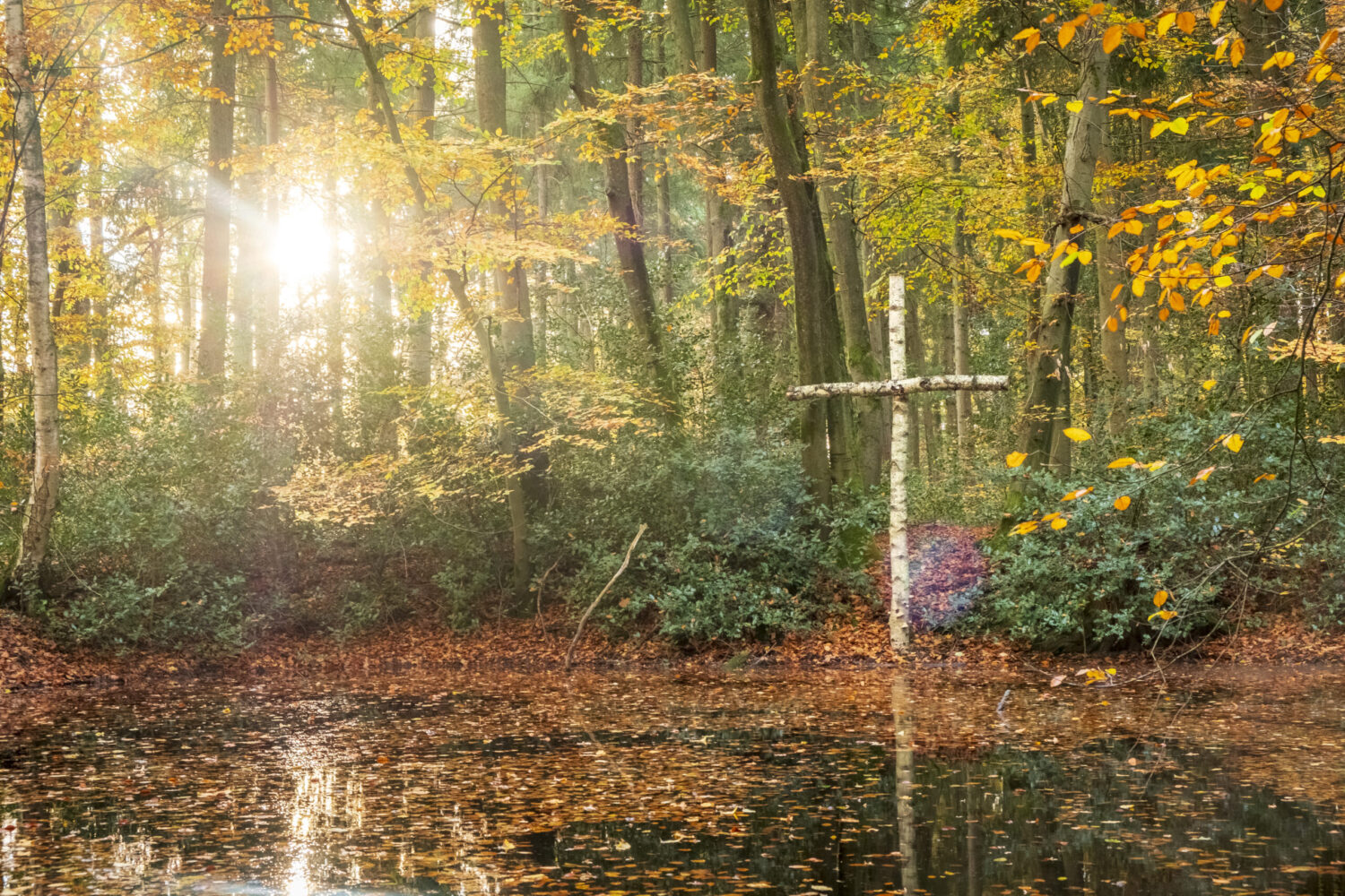 Tag des Friedhofs – „endlich und lebendig“ – 21. & 22. September 2025