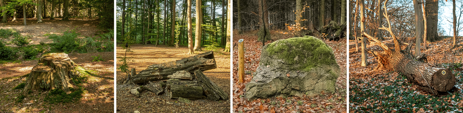 Biotop-Naturelemente