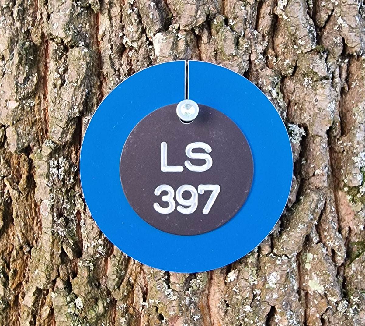 Wertstufe-Blau-LS