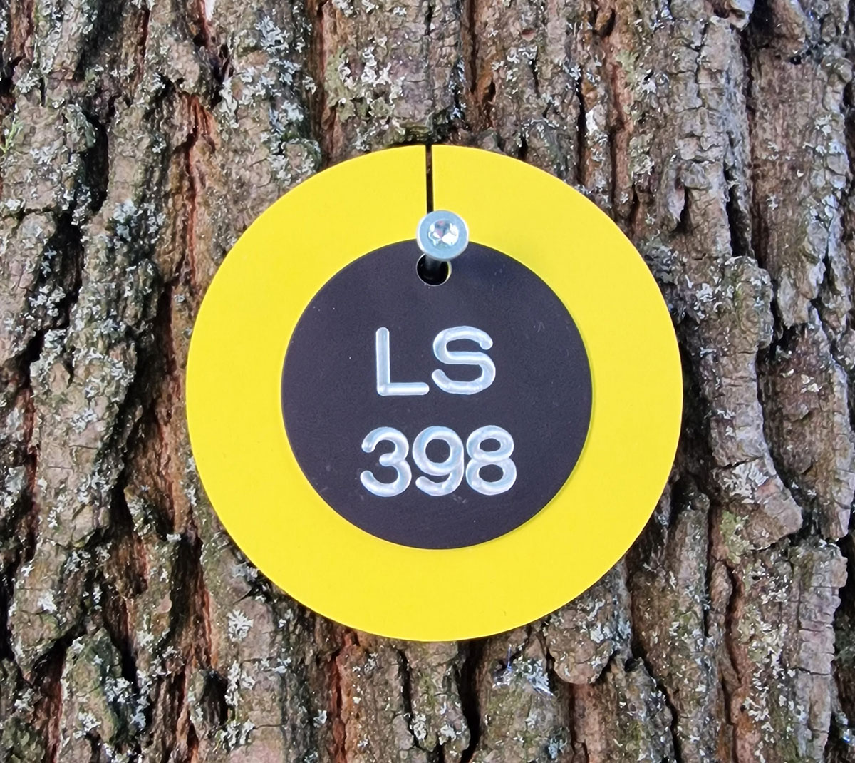 Wertstufe-Gelb-LS
