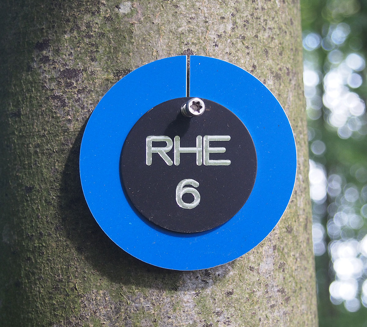 Wertstufe-Blau-RHE