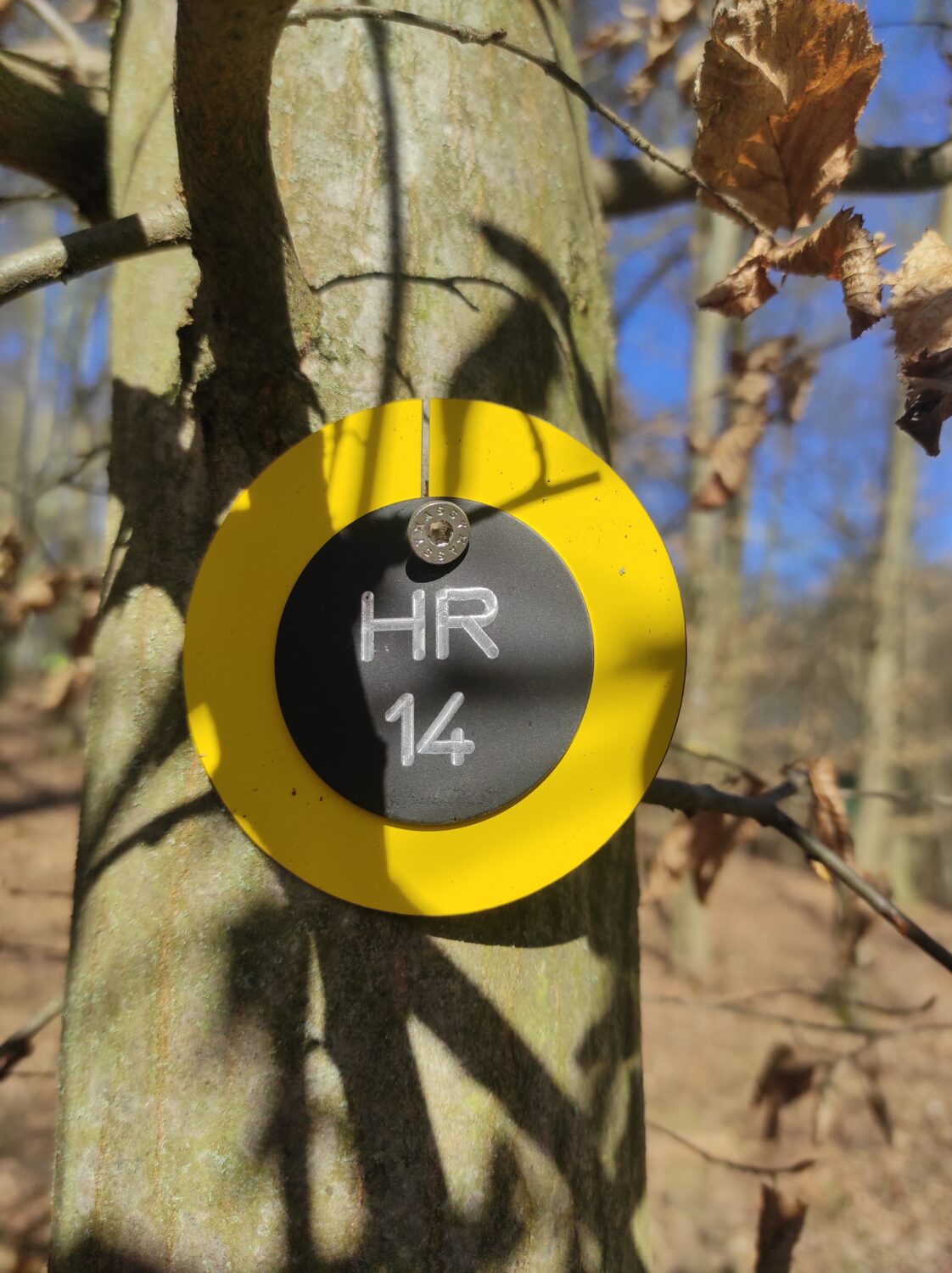 Nummernronde RF Vogtland HR Gelb
