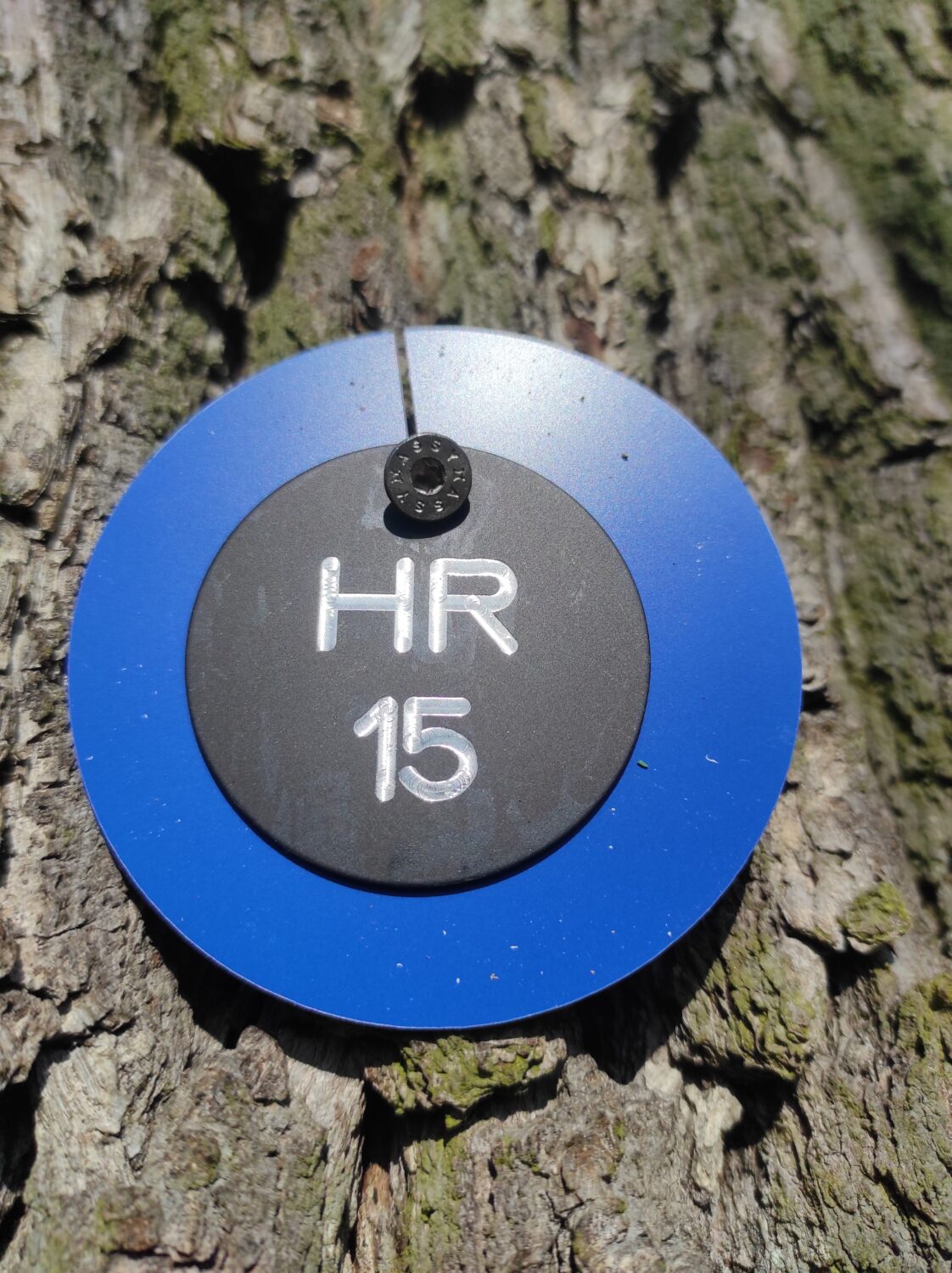 Nummernronde RF Vogtland HR blau