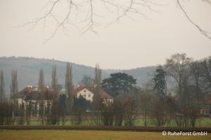 IMG_4608
