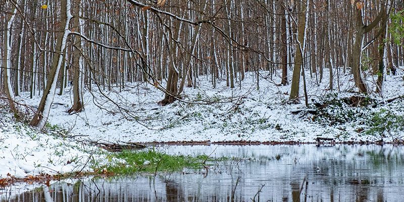 Spende anstatt Weihnachtsgeschenken