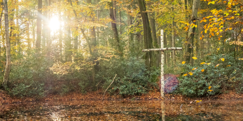 Tag des Friedhofs – „endlich und lebendig“ – 21. & 22. September 2025