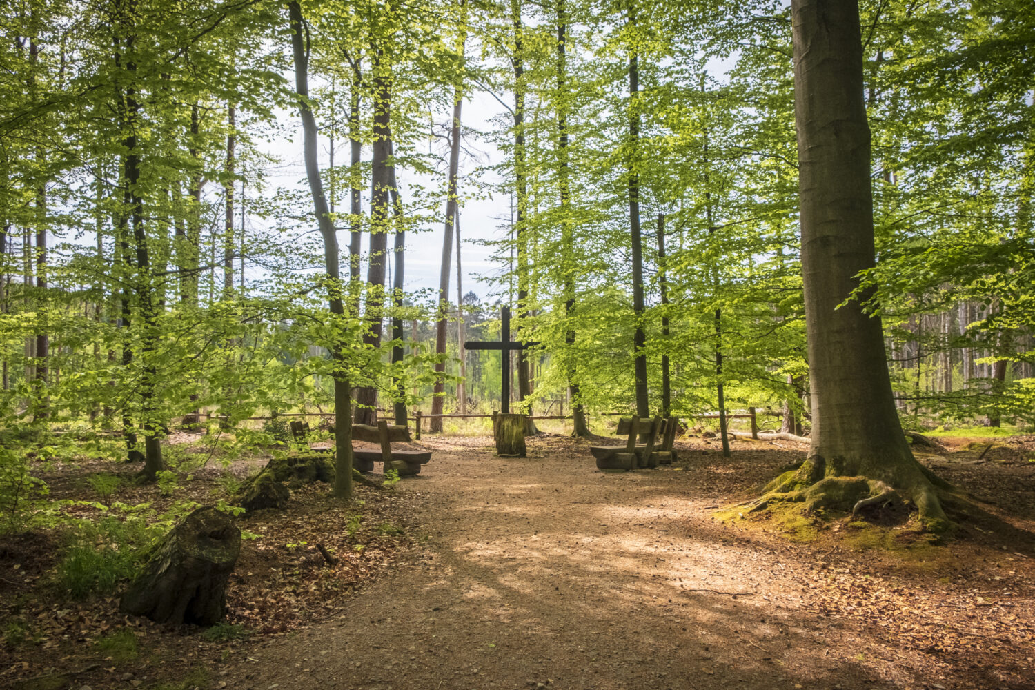 Ruheforst Kummerfeld: Einer der schönsten Orte zum Abschiednehmen