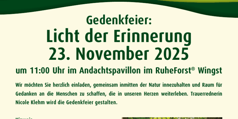 Licht der Erinnerung