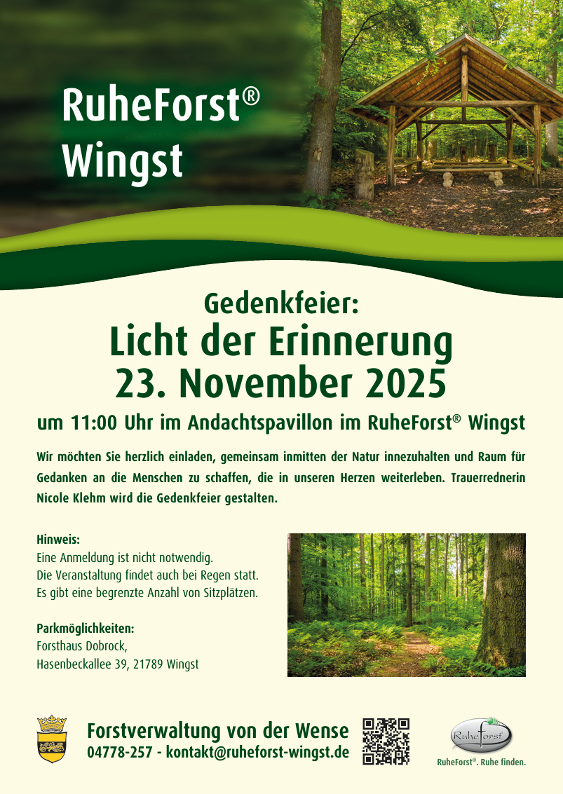 Licht der Erinnerung