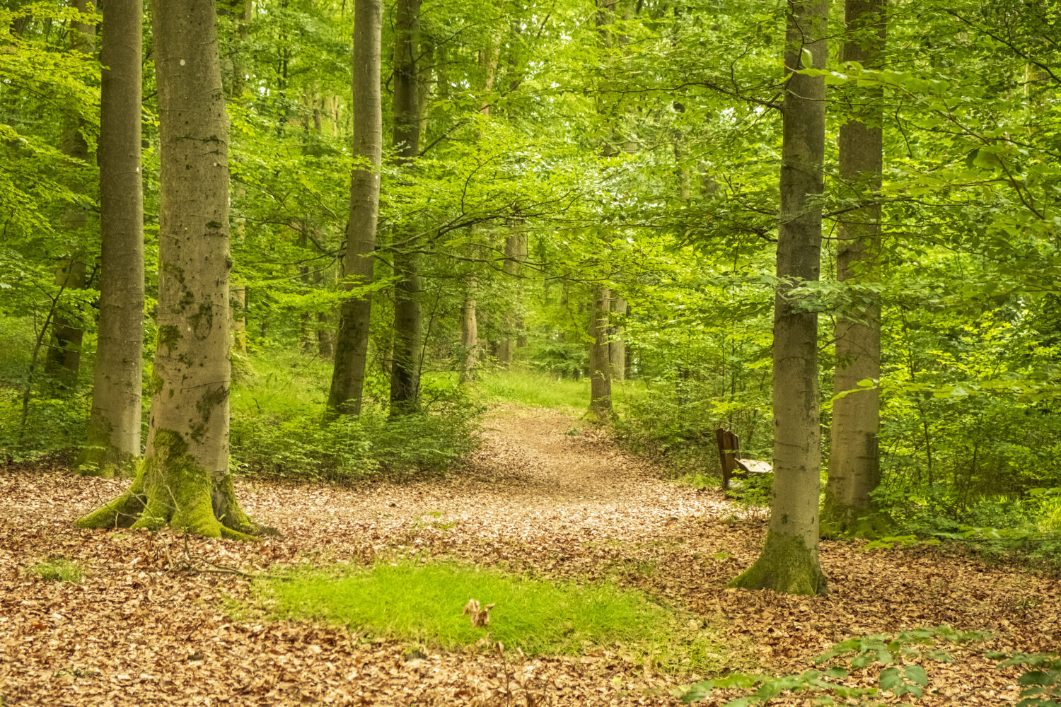 RuheForst – Marburger Land / Germershausen Auf der MEMO Life in Marburg
