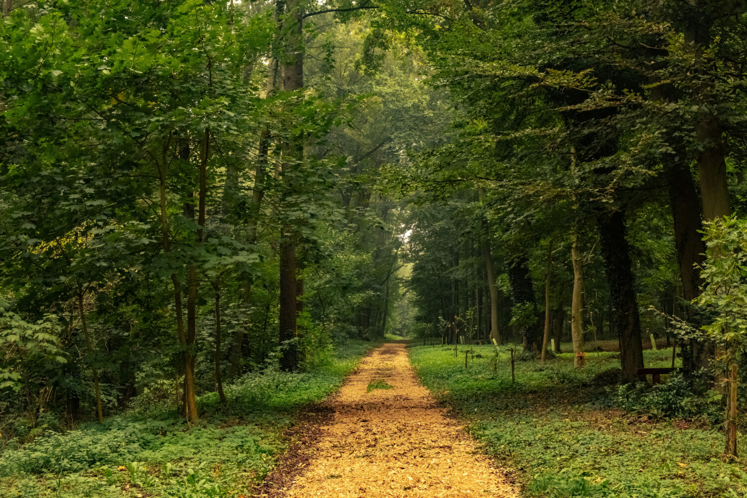 RuheForst auf der Thüringer Gesundheitsmesse