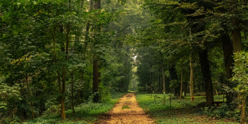 RuheForst auf der Thüringer Gesundheitsmesse